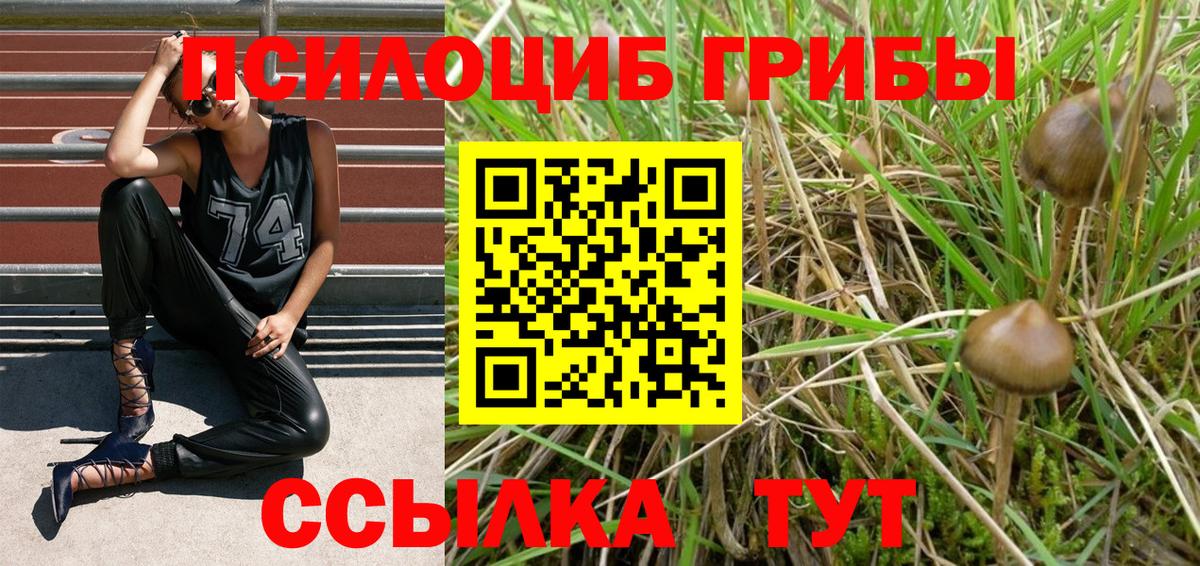 Галлюциногенные грибы Psilocybe  Вход с VPN  Шелехов  Псилоцибиновые грибы мицелий 